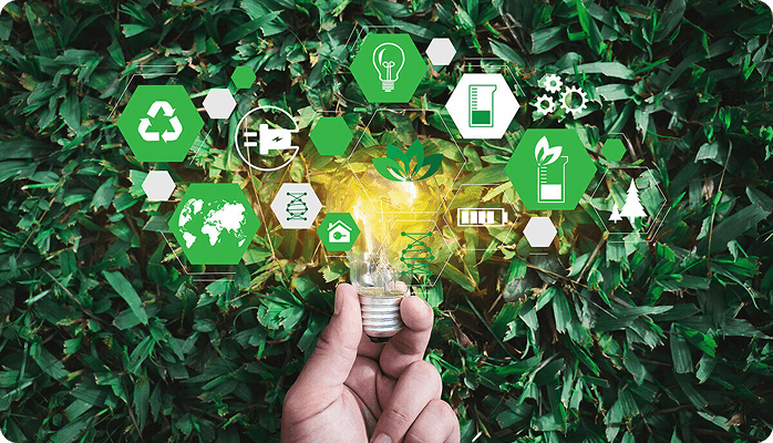 Устойчивое развитие