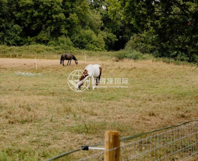 Ограждение для лошадей