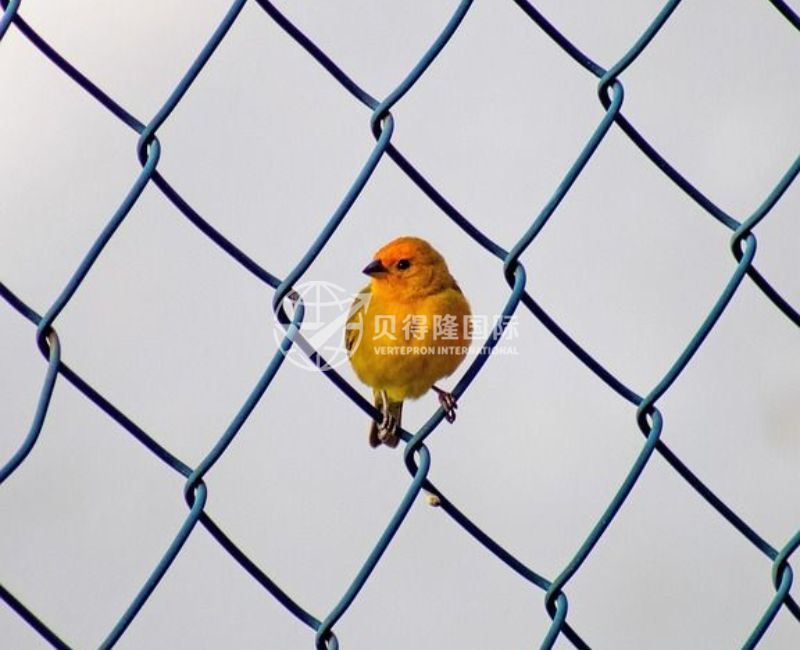 Сетка-рабица