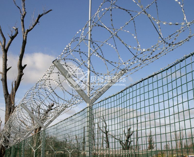 Колючая проволока Концертина