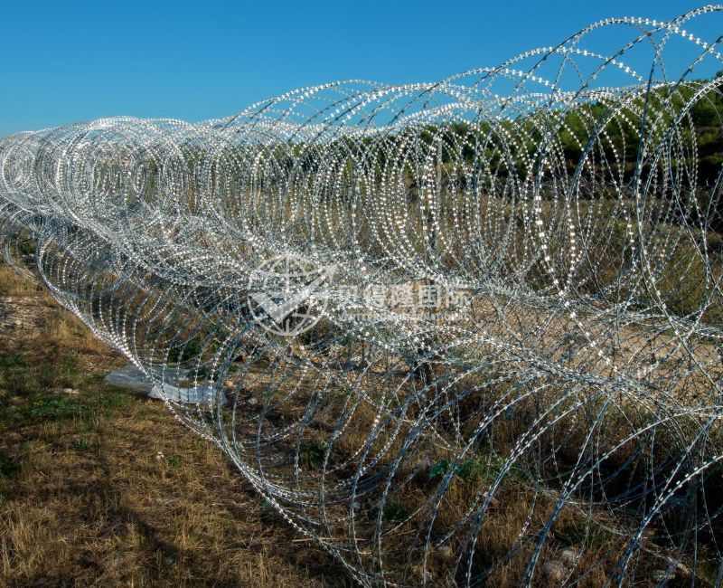 Колючая проволока