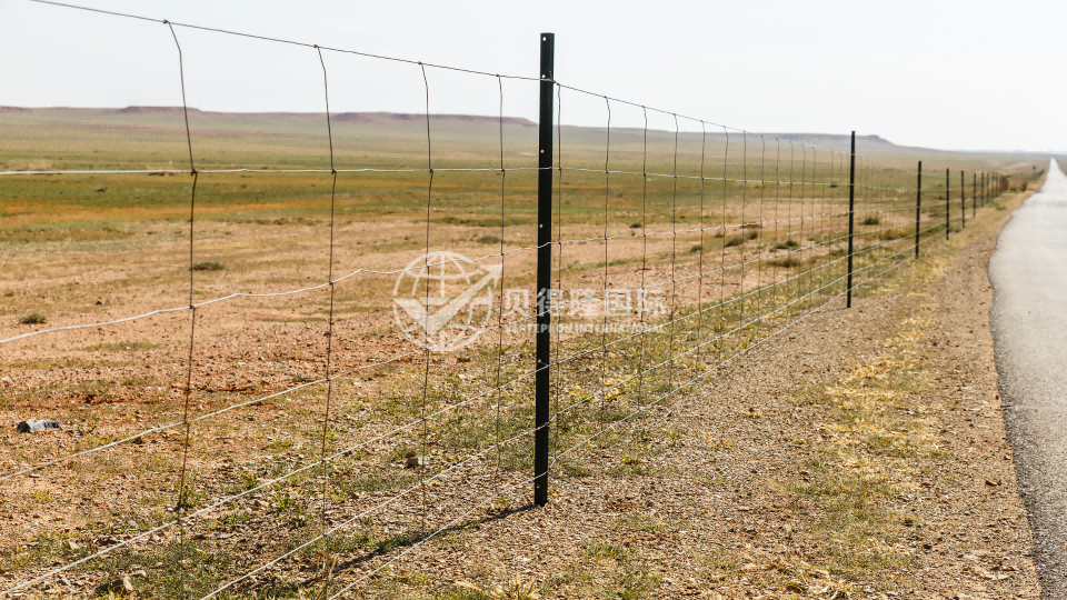 Ограждение для крупного рогатого скота и бизонов