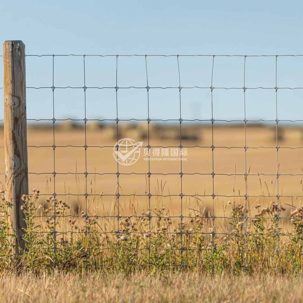 Ограждение для крупного рогатого скота и бизонов
