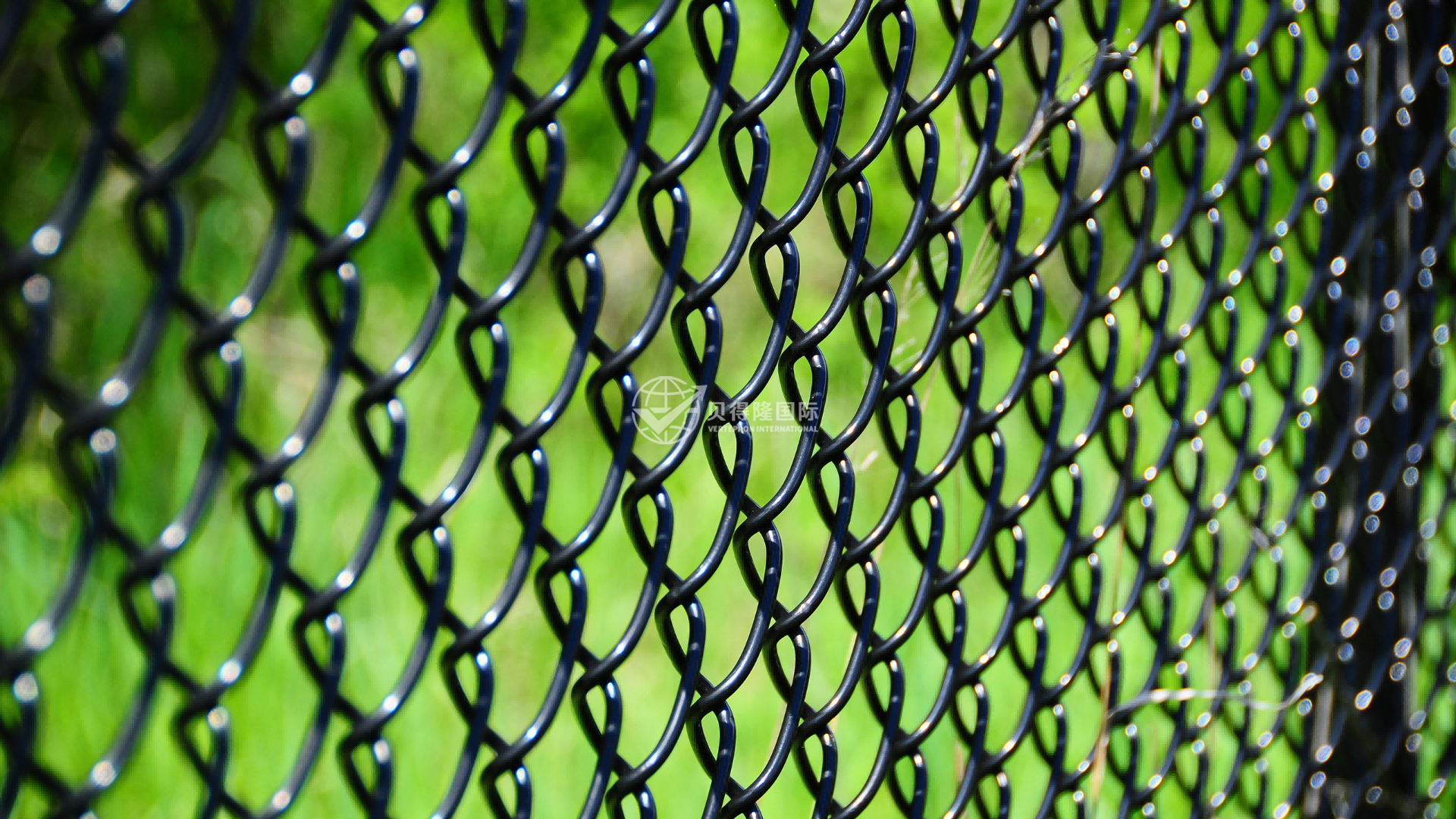 Сетка-рабица