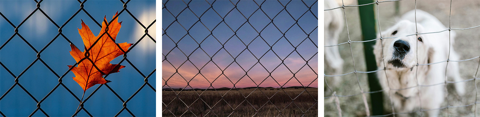 Превосходство проволочной сетки Anping на североамериканском рынке