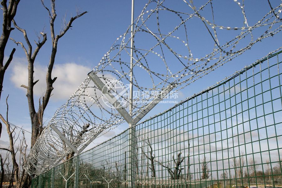 Колючая проволока Концертина