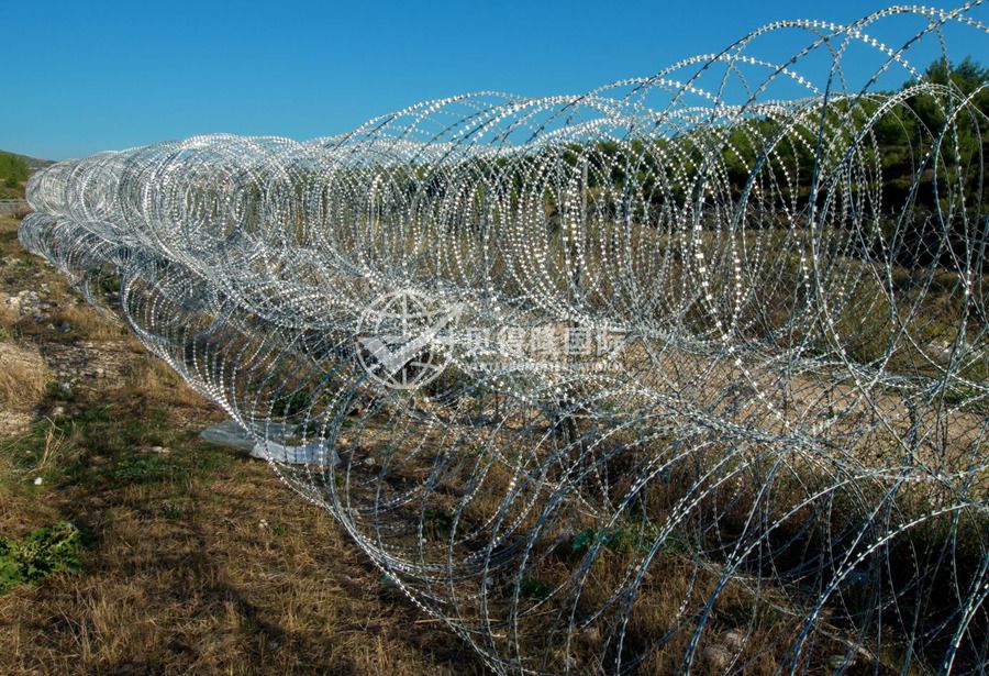 Колючая проволока Концертина